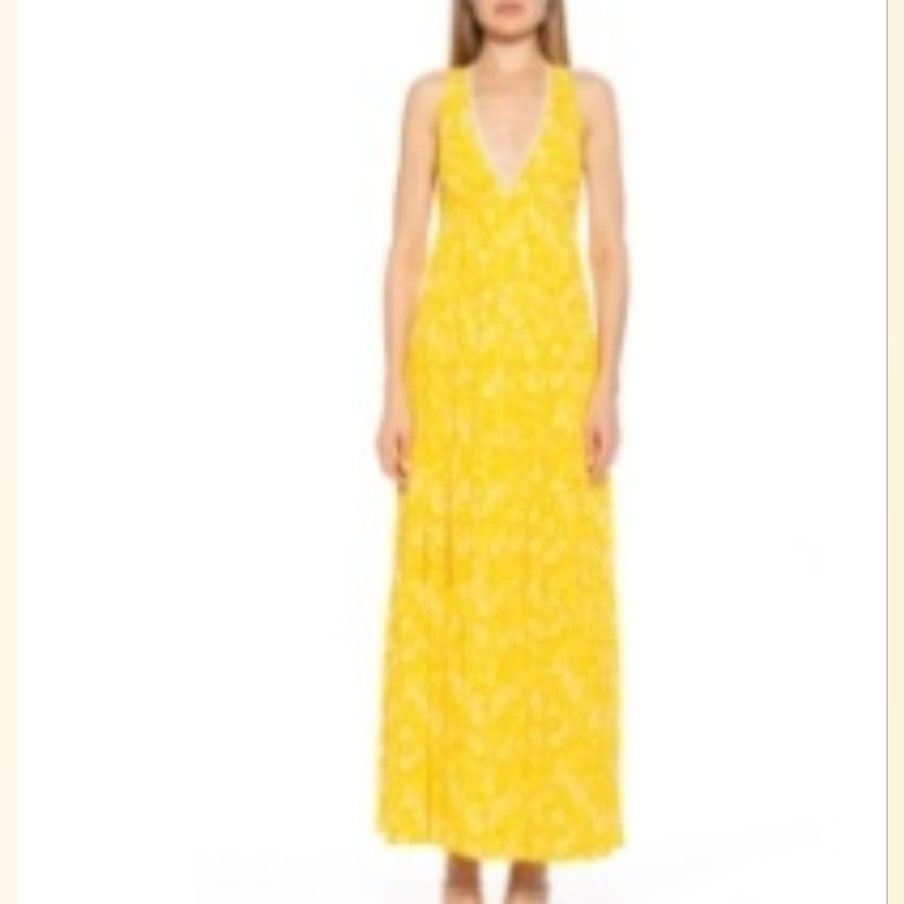 NWT V-neck Tiered Maxi Dress